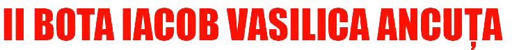 II BOTA IACOB VASILICA ANCUŢA