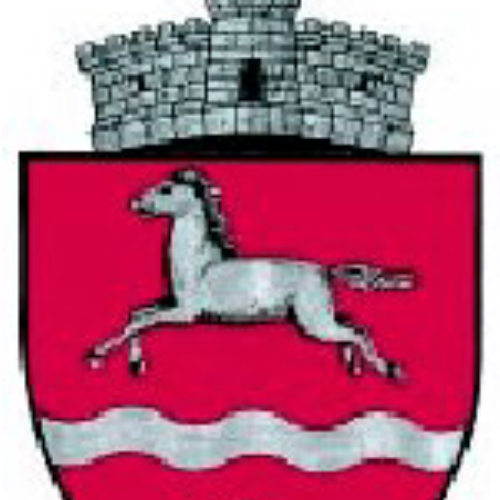 PRIMĂRIA MOLDOVA SULIŢA