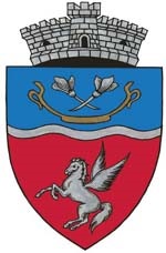 PRIMĂRIA SÂNTANA DE MUREŞ