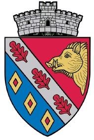 PRIMĂRIA VÂNĂTORI