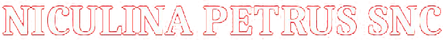NICULINA PETRUS SNC