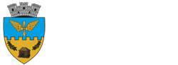 PRIMĂRIA OTOPENI
