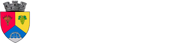 PRIMĂRIA DRĂGĂNEŞTI OLT