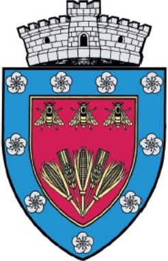 PRIMĂRIA VALEA LARGĂ