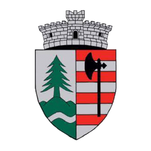 PRIMĂRIA BRĂDEŞTI