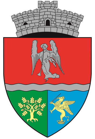 PRIMĂRIA NUŞFALĂU