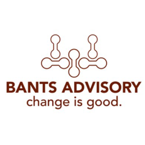 BANTS ADVISORY SRL