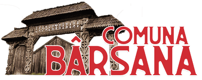 PRIMĂRIA BÂRSANA