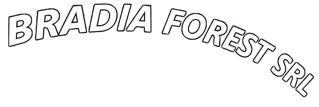 BRADIA FOREST SRL