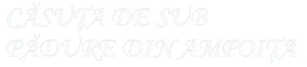 MEXACO PLUS SRL- CĂSUȚA DE SUB PĂDURE DIN AMPOIȚA