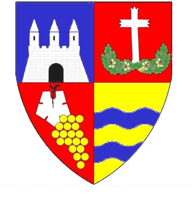 CONSILIUL JUDEȚEAN ARAD