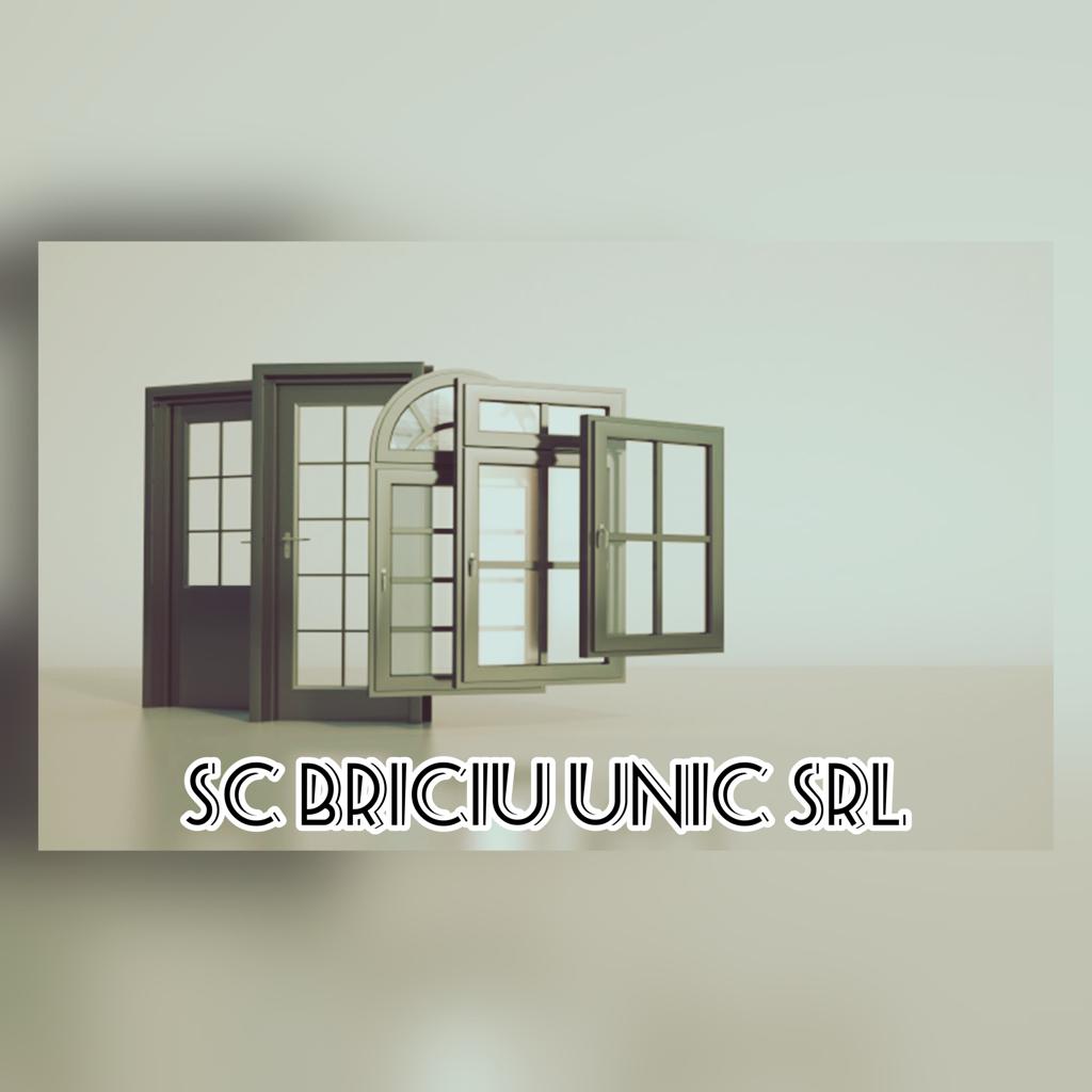 SC   BRICIU UNIC   SRL