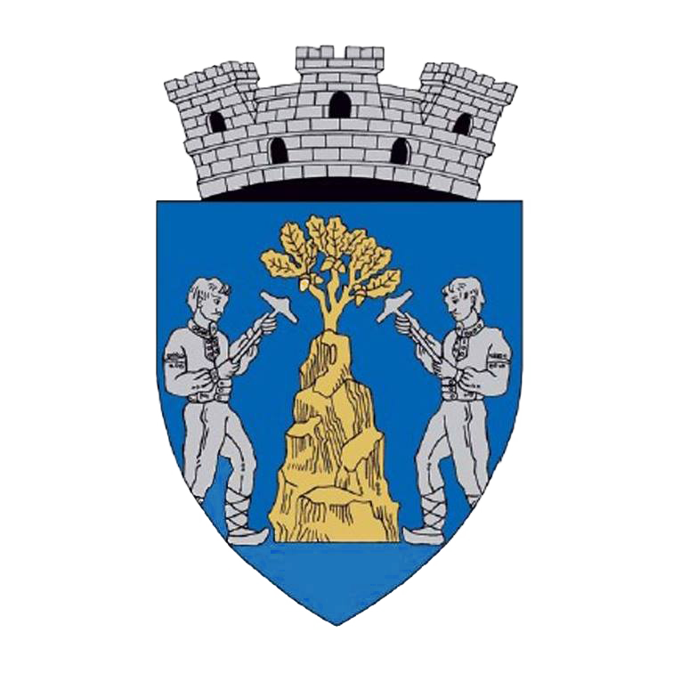 PRIMĂRIA BAIA SPRIE