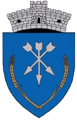 PRIMĂRIA STOLNICI