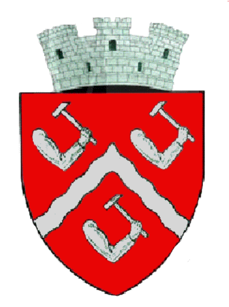 PRIMĂRIA TÂRGU-OCNA