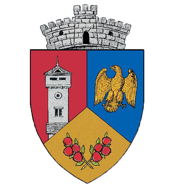 PRIMĂRIA TIGVENI