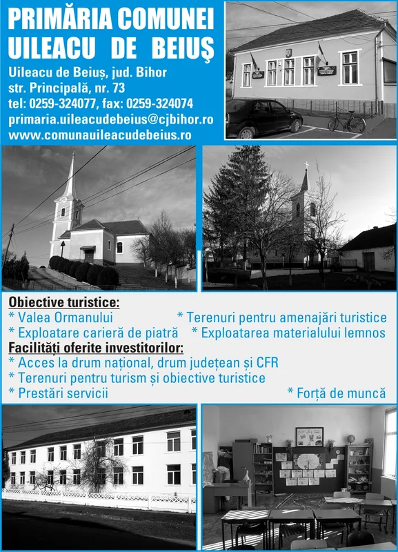 PRIMĂRIA UILEACU DE BEIUŞ