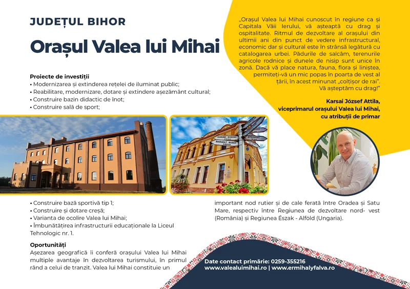 PRIMĂRIA VALEA LUI MIHAI
