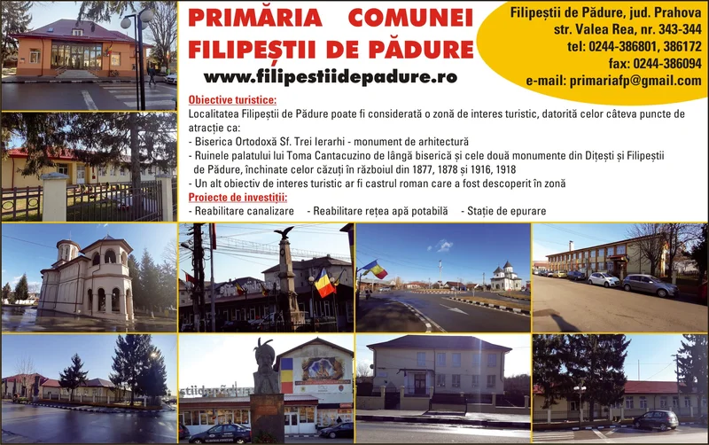 PRIMĂRIA FILIPEŞTII DE PĂDURE