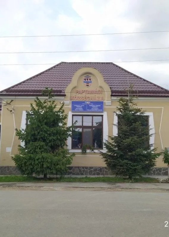 PRIMĂRIA COMUNEI TĂMĂŞEU