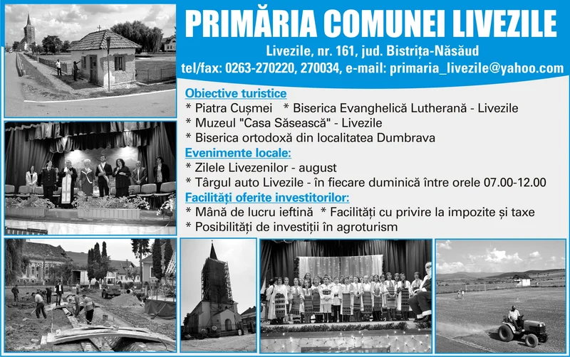 PRIMĂRIA LIVEZILE