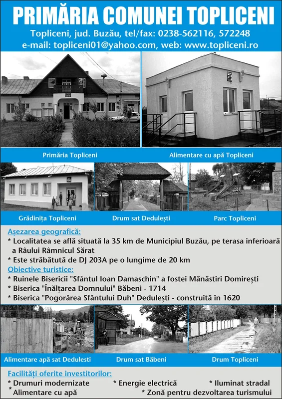 PRIMĂRIA TOPLICENI