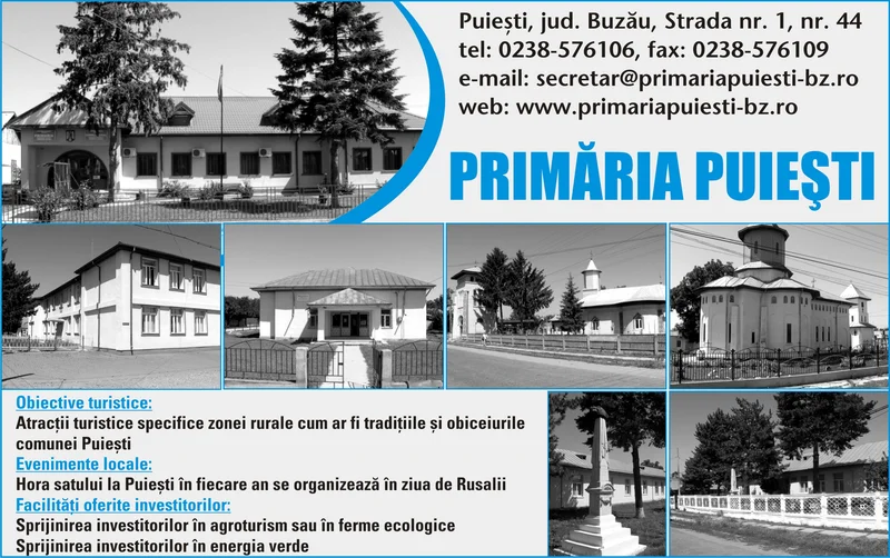 PRIMĂRIA PUIEŞTI
