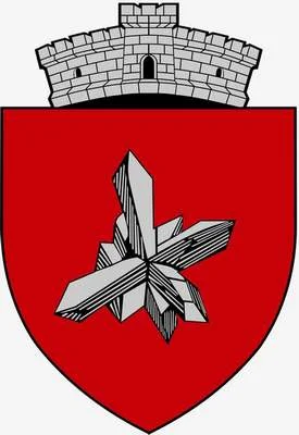 PRIMĂRIA OCNA DE FIER