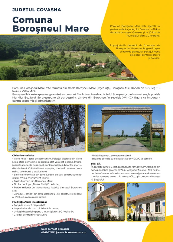 PRIMĂRIA BOROŞNEU MARE