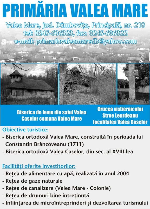 PRIMĂRIA VALEA MARE