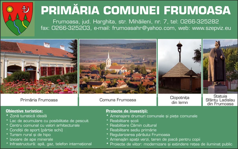 PRIMĂRIA FRUMOASA