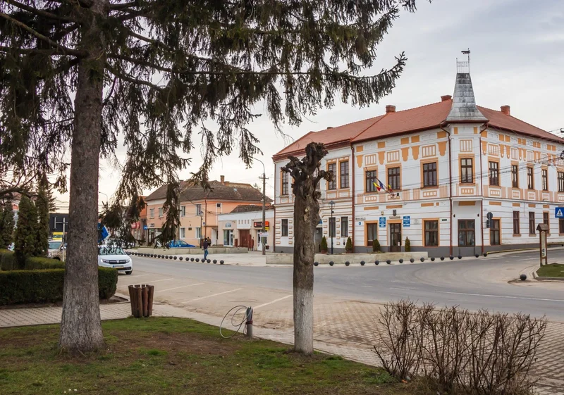 PRIMĂRIA MIERCUREA NIRAJULUI