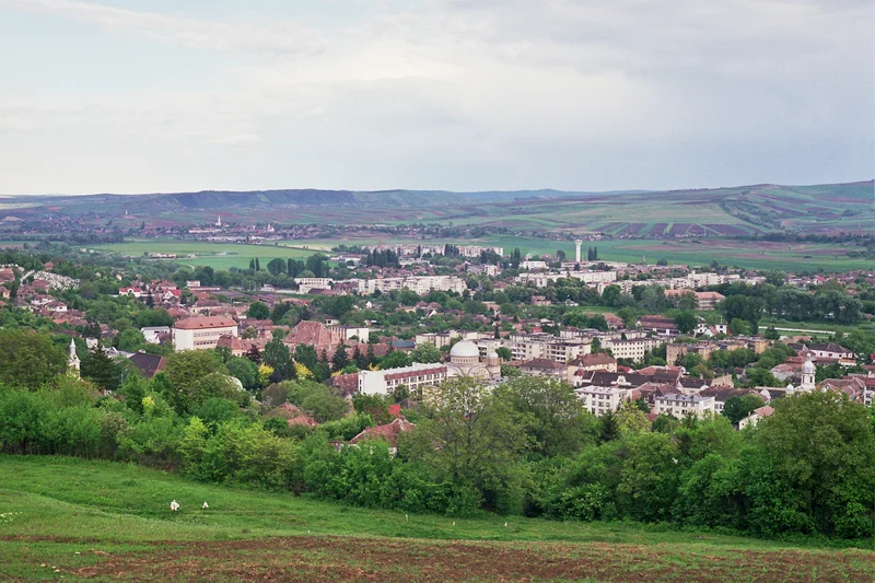 PRIMĂRIA TÂRNĂVENI