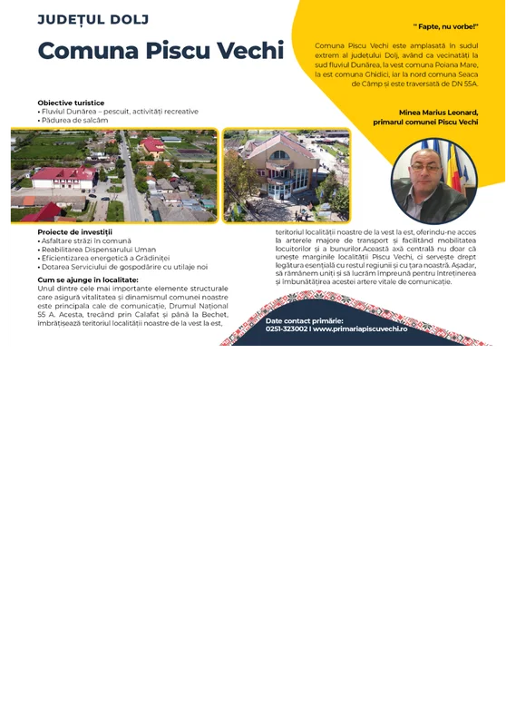 PRIMĂRIA PISCU VECHI