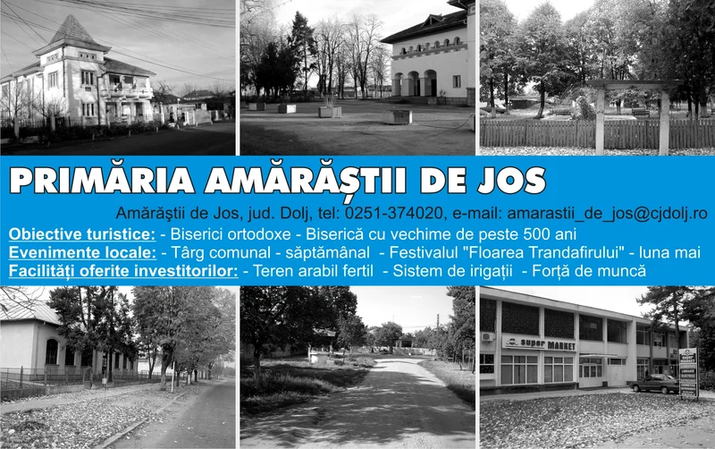 PRIMĂRIA AMĂRĂŞTII DE JOS
