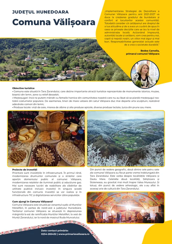 PRIMĂRIA VĂLIŞOARA