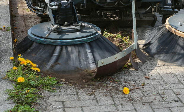 CM 2250 perie buruieni - Copie.png