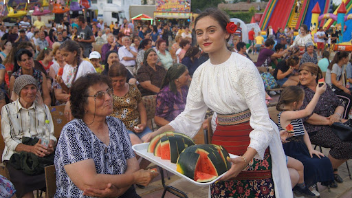 FestivalulLubenițeiDăbuleni.jpg