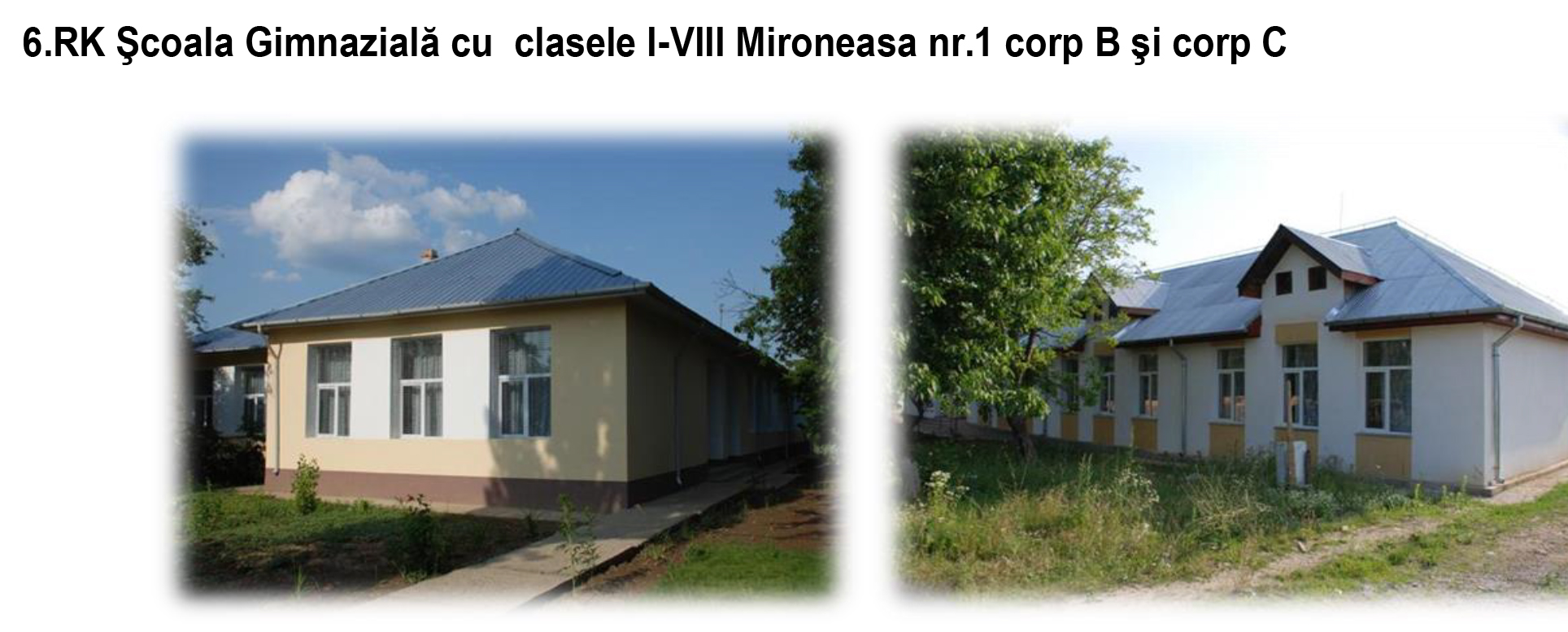 Mironeasa15.jpg