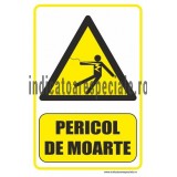 bb4dm_pericol-de-moarte.jpg