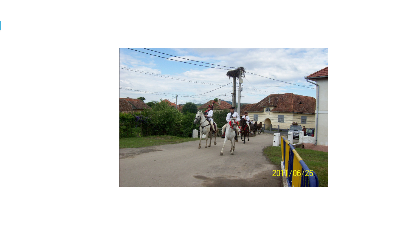 Sărbătoarea "Fiii Satului" 2011