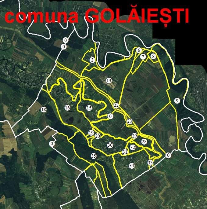 golaesti3.jpg