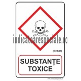 j1ejz_substante-toxice-ghs06.jpg