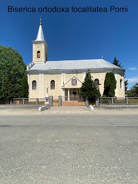 pomi7.jpg