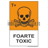 sgy3s_foarte-toxic.jpg