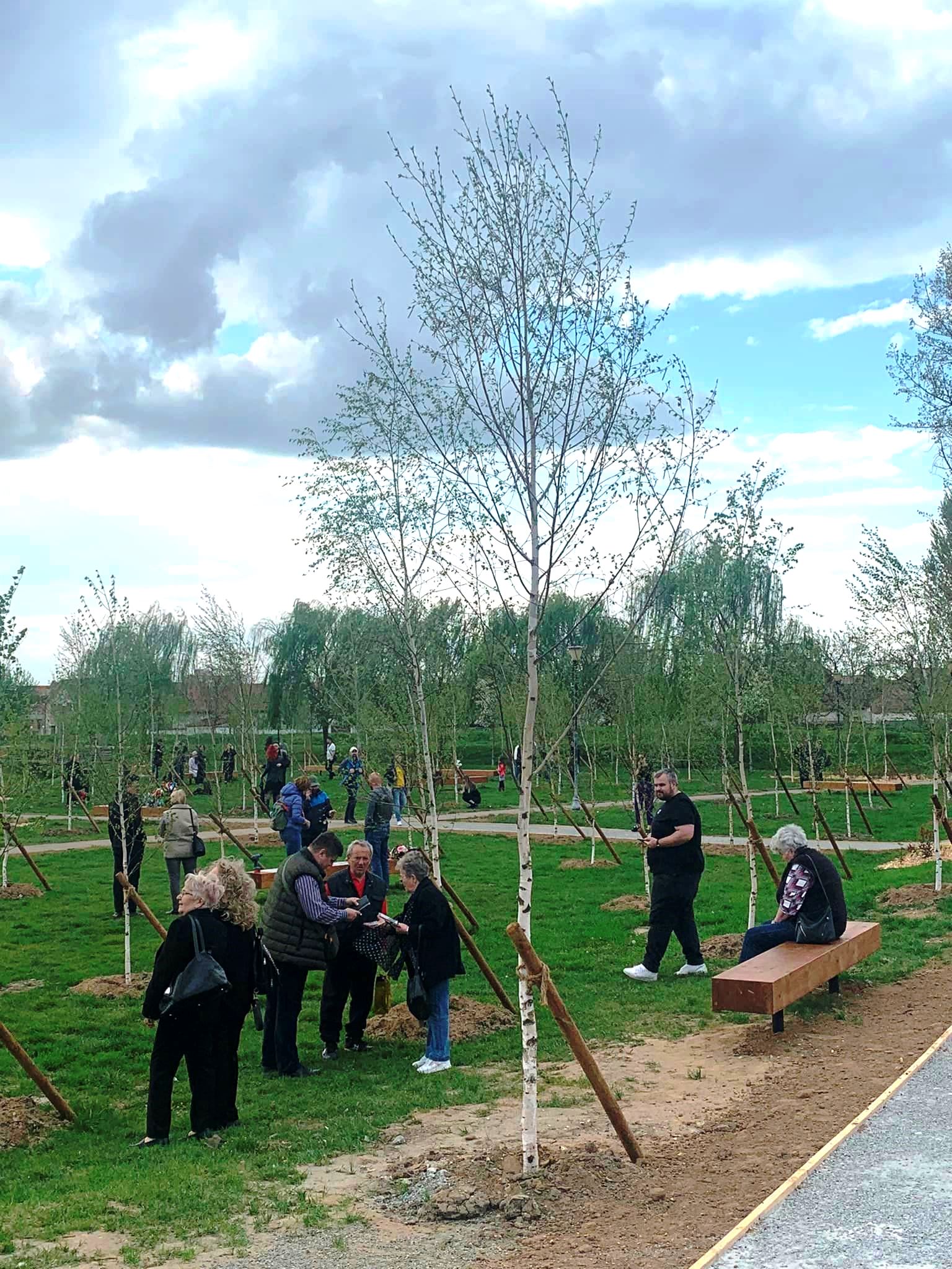 100 de mesteceni plantați în amintire – primul parc tematic din  Oradea