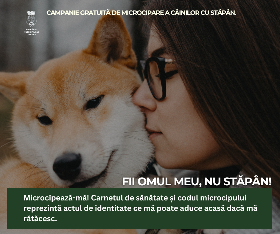 Dă-i o șansă câinelui tău să se întoarcă acasă dacă s-a rătăcit!  Continuă campania de microcipare gratuită