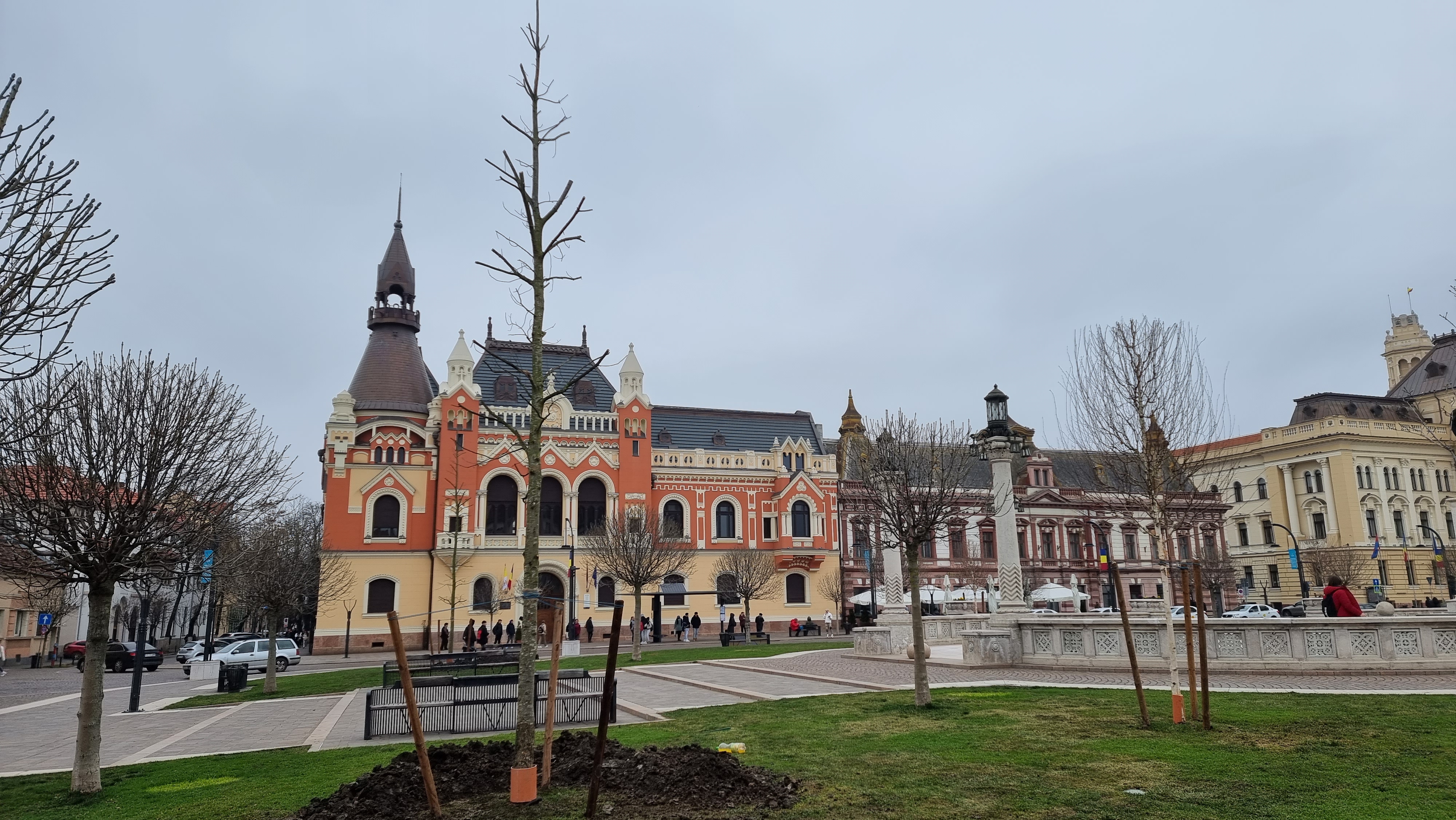 Stejarii roșii au fost plantați în Piața Unirii