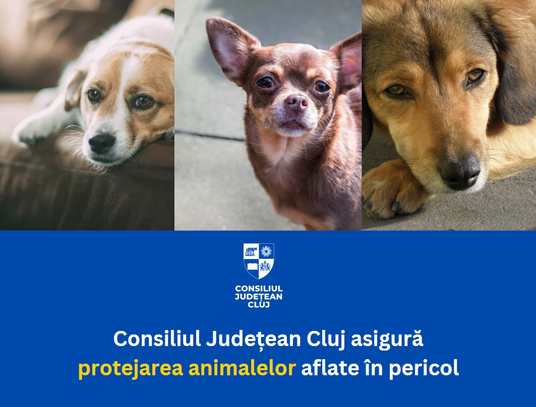 Consiliul Județean asigură protejarea animalelor aflate în pericol