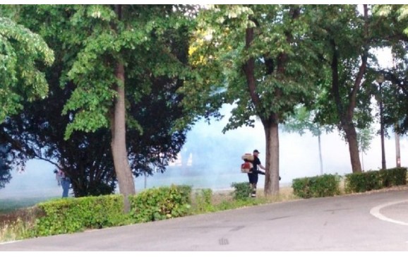 O nouă etapă de dezinsecție și deratizare în municipiu